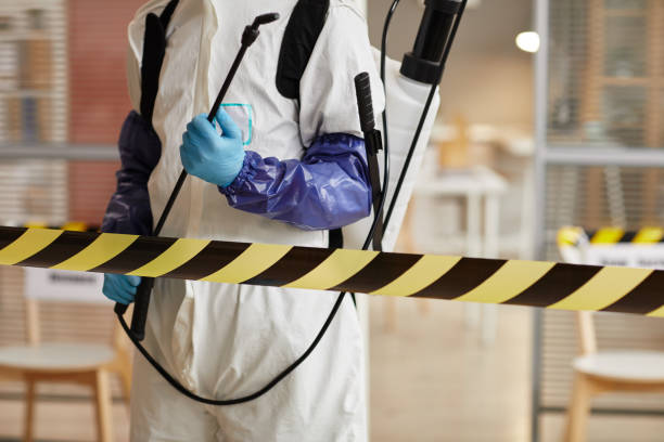Professional Sewage Cleanup technician working in Alamo, IN